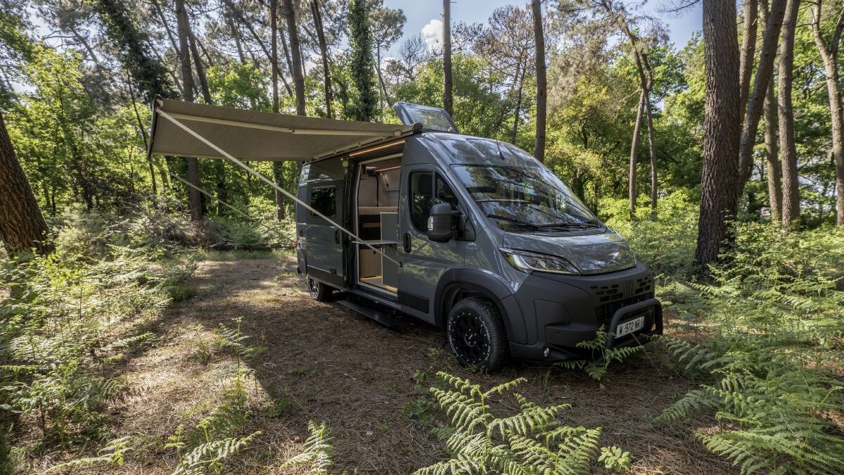 Van designers pyla 1 e1747901271218